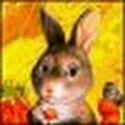 Аватар пользователя beltwimmima