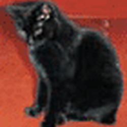 Аватар пользователя LuPola