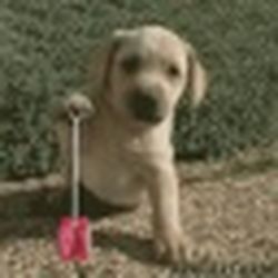 Аватар пользователя ugaraz