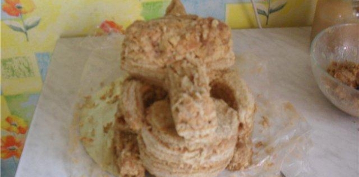 Шаг №1 МК Белка Ледниковый период