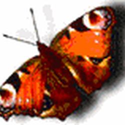 Аватар пользователя Ly-Ly