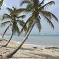 Аватар пользователя Dinka