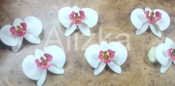 Шаг №12 МК Орхидеи от alizka