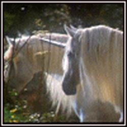 Аватар пользователя svet-lanka