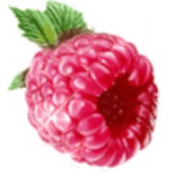 Аватар пользователя Ягода-Малинка