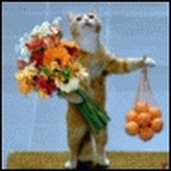 Аватар пользователя Al Binush