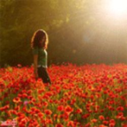 Аватар пользователя Seelenlos