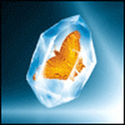 Аватар пользователя Eva-TLT