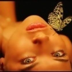 Аватар пользователя NikaNik