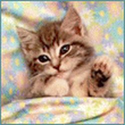 Аватар пользователя Natustik