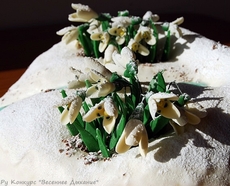 Торт "Дыхание весны"