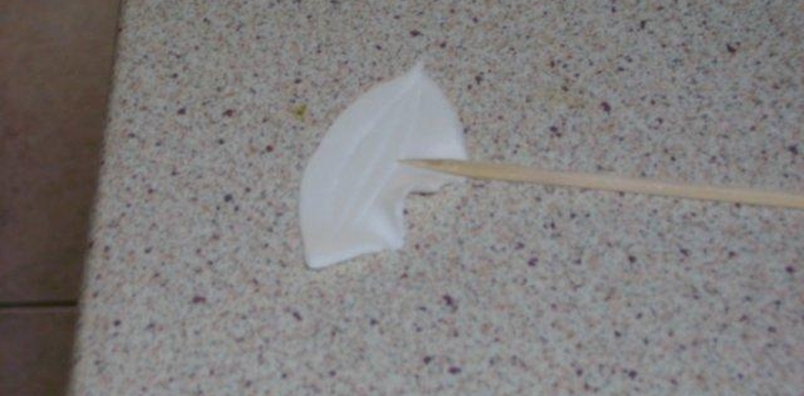 Шаг №3 МК Белые цветы от Annula