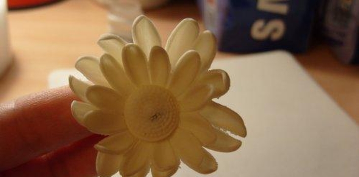 Шаг №10 МК Хризантемы от Учредительница