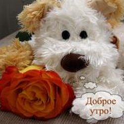 Аватар пользователя Светл@на