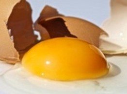 О пользе яиц и яичной скорлупы вне кухни