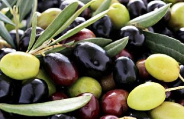 Статья: Насколько полезны оливки?