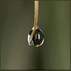 Аватар пользователя Дама