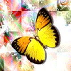 Аватар пользователя ricika