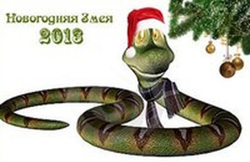 Как встречать Новый 2013 год