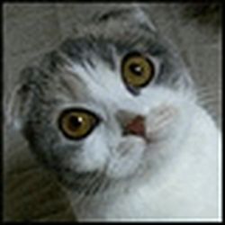 Аватар пользователя havnileto