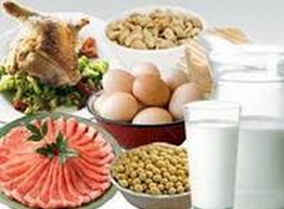 Статья: Роль белков в похудении