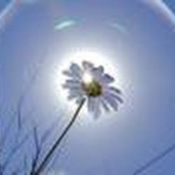 Аватар пользователя Юлькипулькинс