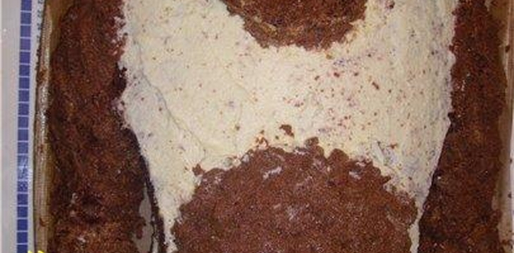 Шаг №1 МК Шрек от OljaN