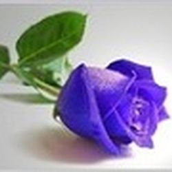 Аватар пользователя Panda27