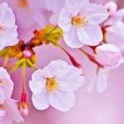 Аватар пользователя LitaRED