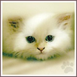 Аватар пользователя Elanora