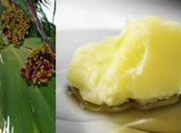 Все секреты пальмового масла