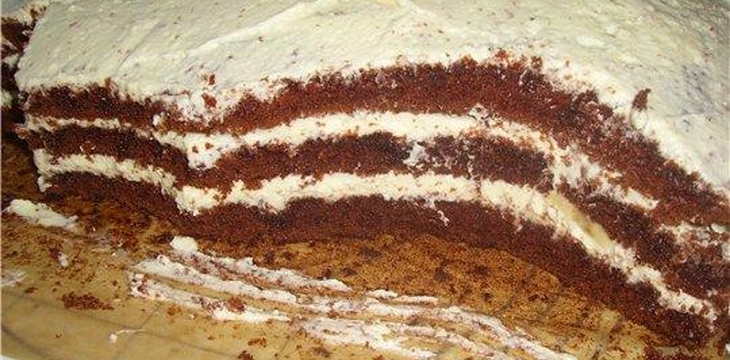 Шаг №10 МК Шрек от OljaN