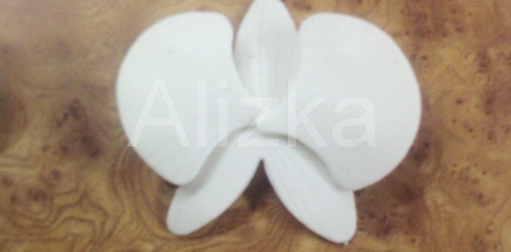 Шаг №10 МК Орхидеи от alizka