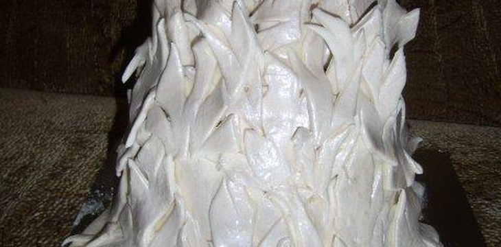 Шаг №4 Торт "Ледяное царство" от setu