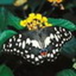 Аватар пользователя Пономаренко Таисия