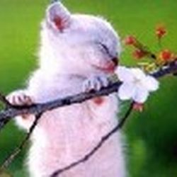 Аватар пользователя Dre@m