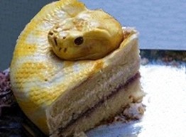 «На лицо ужасные, вкусные внутри..»