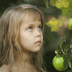 Аватар пользователя riedesleoghaf