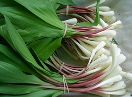 Статья: Черемша