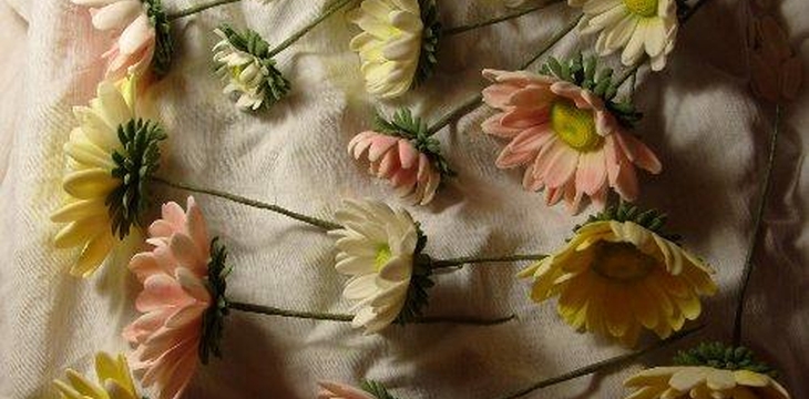 Шаг №23 МК Хризантемы от Учредительница