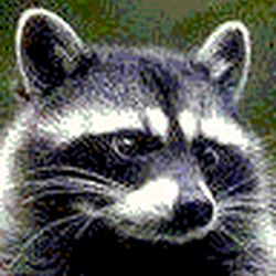 Аватар пользователя winch