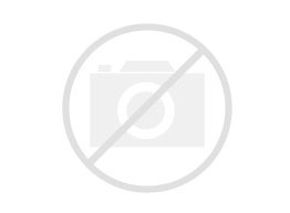 Бисквит на желтках